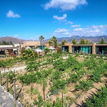 Entre Vinedos By Hotel Boutique Valle De Guadalupe Esterno foto