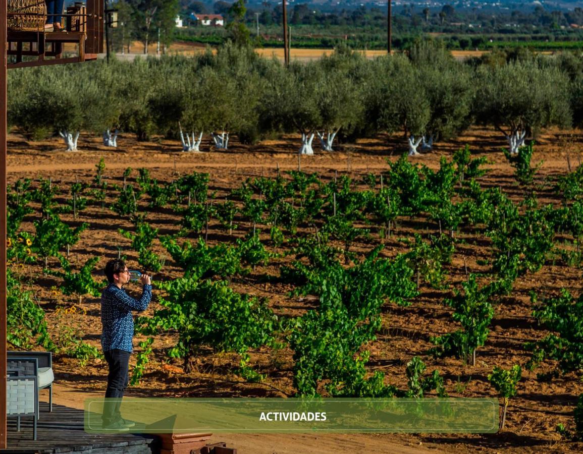 Entre Vinedos By Hotel Boutique Valle De Guadalupe Esterno foto