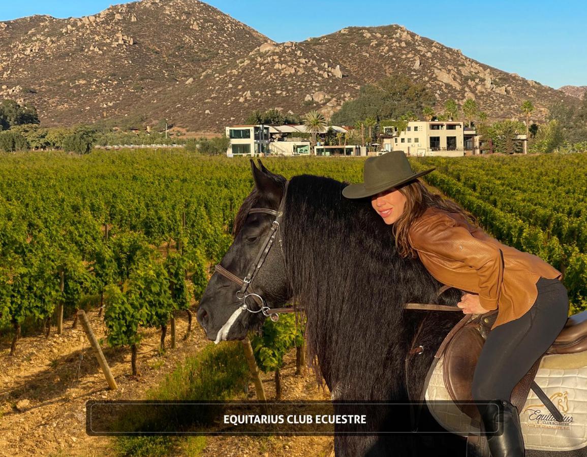 Entre Vinedos By Hotel Boutique Valle De Guadalupe Esterno foto