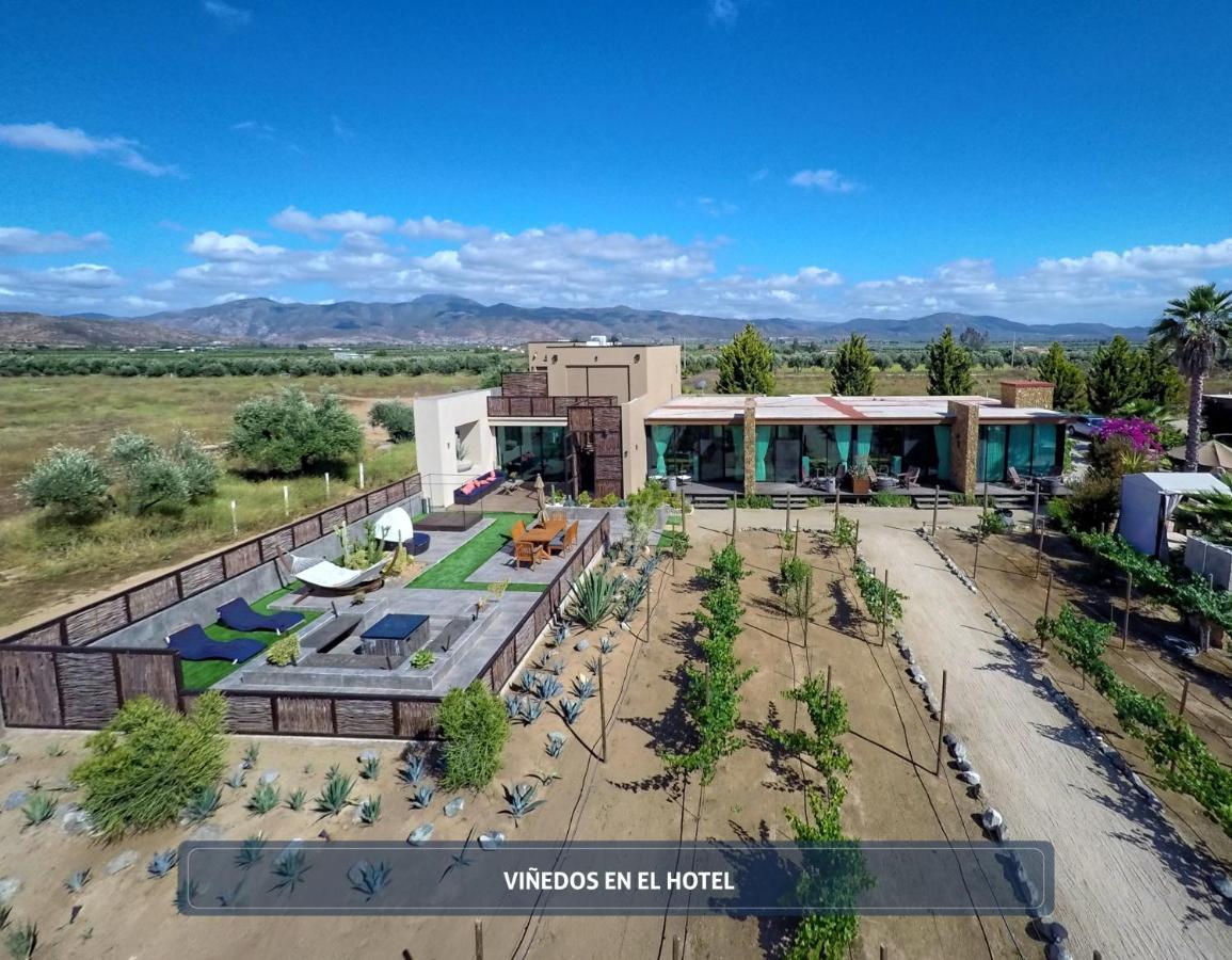 Entre Vinedos By Hotel Boutique Valle De Guadalupe Esterno foto