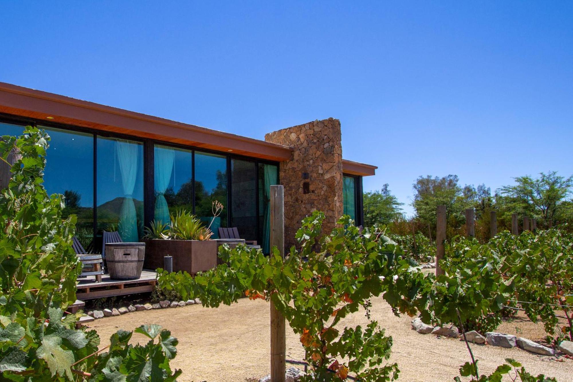 Entre Vinedos By Hotel Boutique Valle De Guadalupe Esterno foto
