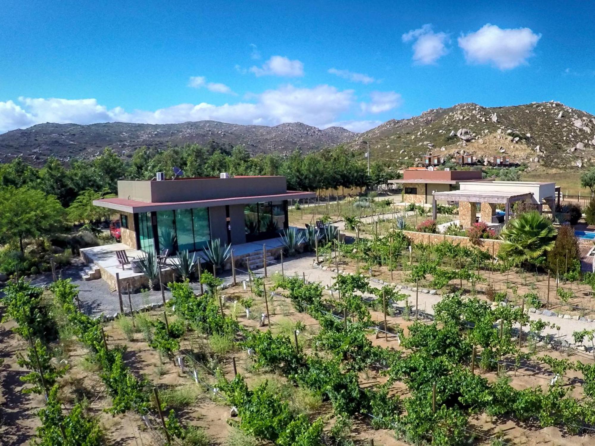 Entre Vinedos By Hotel Boutique Valle De Guadalupe Camera foto